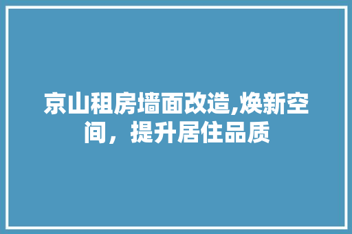 京山租房墙面改造,焕新空间，提升居住品质