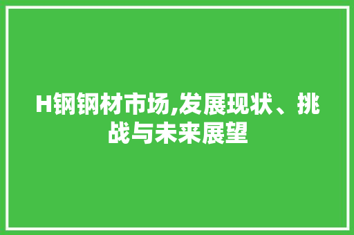 H钢钢材市场,发展现状、挑战与未来展望