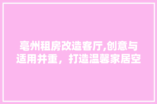 亳州租房改造客厅,创意与适用并重，打造温馨家居空间