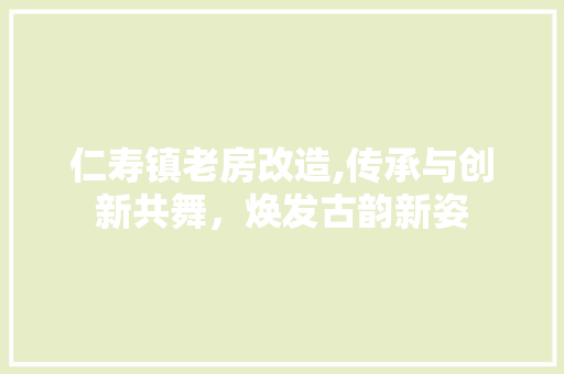 仁寿镇老房改造,传承与创新共舞，焕发古韵新姿