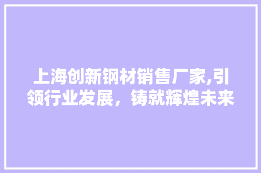 上海创新钢材销售厂家,引领行业发展，铸就辉煌未来