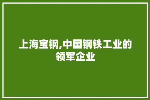 上海宝钢,中国钢铁工业的领军企业