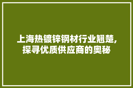 上海热镀锌钢材行业翘楚,探寻优质供应商的奥秘