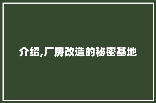 介绍,厂房改造的秘密基地