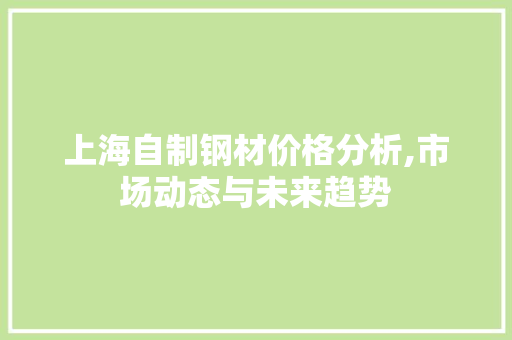 上海自制钢材价格分析,市场动态与未来趋势