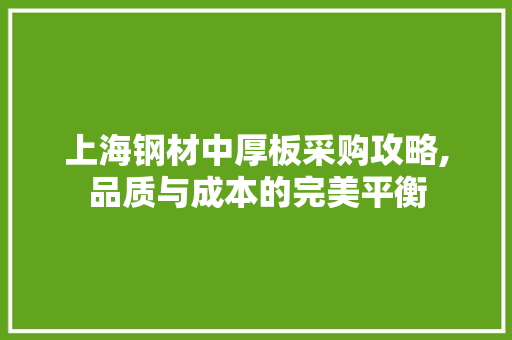 上海钢材中厚板采购攻略,品质与成本的完美平衡