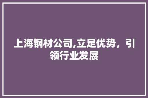 上海钢材公司,立足优势，引领行业发展