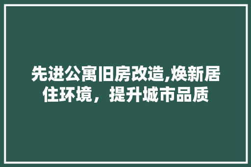 先进公寓旧房改造,焕新居住环境，提升城市品质