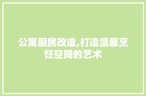 公寓厨房改造,打造温馨烹饪空间的艺术