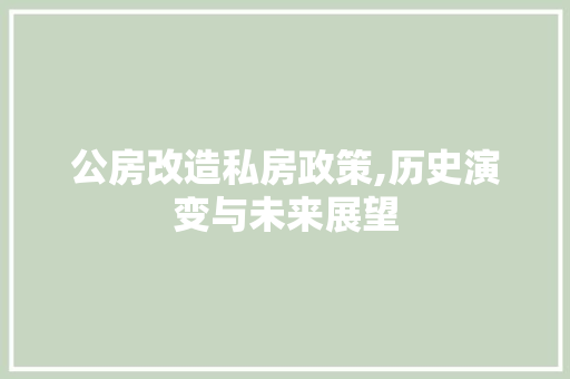 公房改造私房政策,历史演变与未来展望