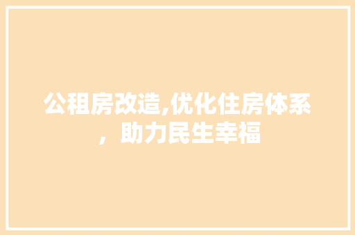 公租房改造,优化住房体系，助力民生幸福