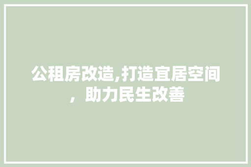 公租房改造,打造宜居空间，助力民生改善