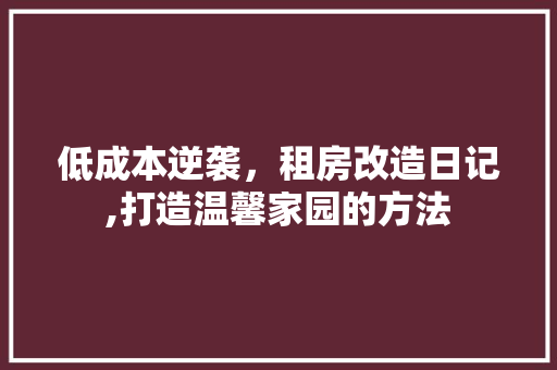 低成本逆袭，租房改造日记,打造温馨家园的方法