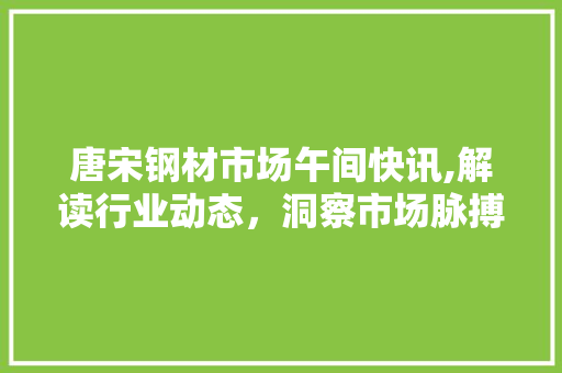 唐宋钢材市场午间快讯,解读行业动态，洞察市场脉搏