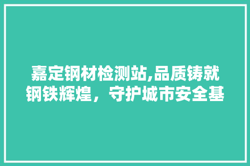 嘉定钢材检测站,品质铸就钢铁辉煌，守护城市安全基石