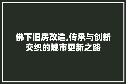 佛下旧房改造,传承与创新交织的城市更新之路