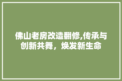 佛山老房改造翻修,传承与创新共舞，焕发新生命