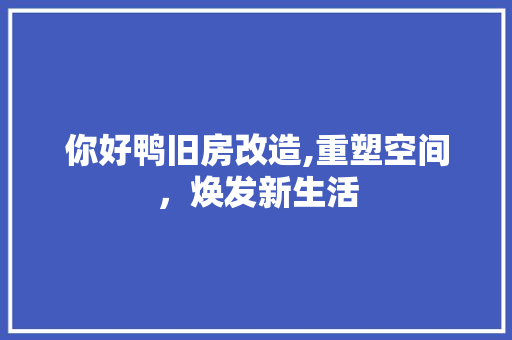 你好鸭旧房改造,重塑空间，焕发新生活