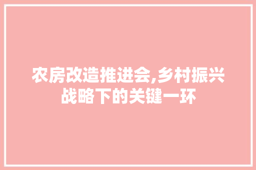 农房改造推进会,乡村振兴战略下的关键一环