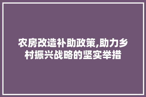 农房改造补助政策,助力乡村振兴战略的坚实举措
