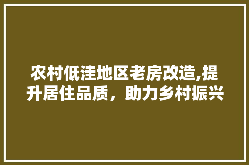农村低洼地区老房改造,提升居住品质，助力乡村振兴