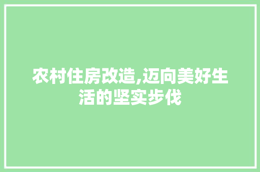 农村住房改造,迈向美好生活的坚实步伐