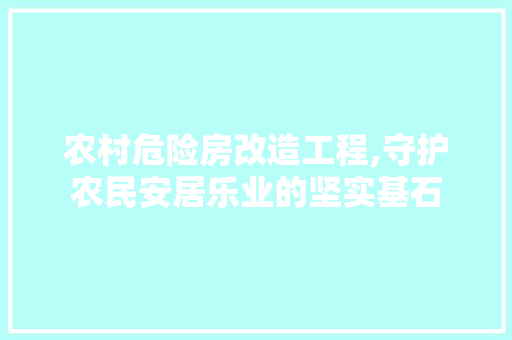 农村危险房改造工程,守护农民安居乐业的坚实基石