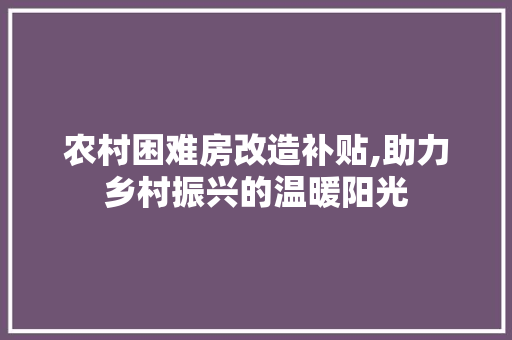 农村困难房改造补贴,助力乡村振兴的温暖阳光