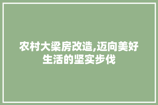 农村大梁房改造,迈向美好生活的坚实步伐