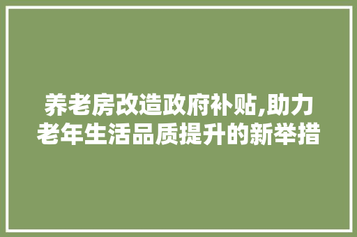 养老房改造政府补贴,助力老年生活品质提升的新举措