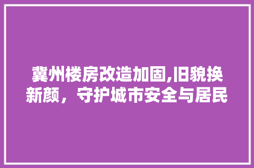 冀州楼房改造加固,旧貌换新颜，守护城市安全与居民安居