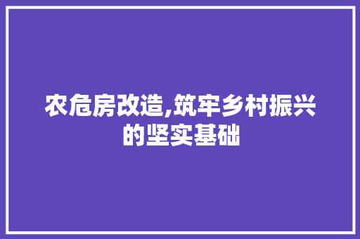 农危房改造,筑牢乡村振兴的坚实基础