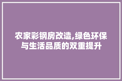 农家彩钢房改造,绿色环保与生活品质的双重提升