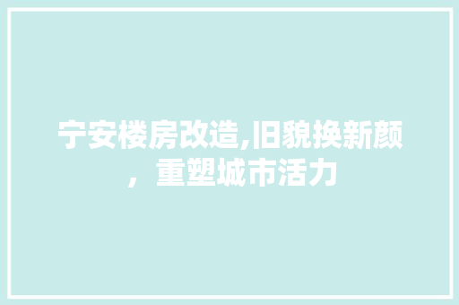 宁安楼房改造,旧貌换新颜，重塑城市活力