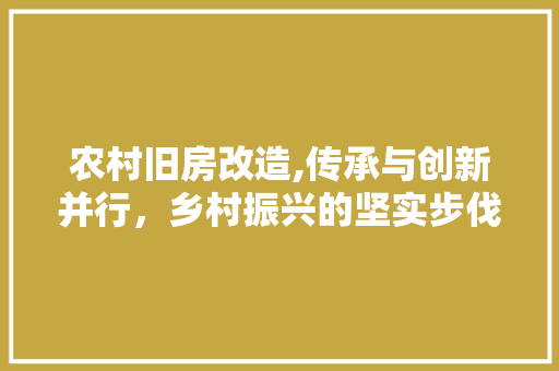 农村旧房改造,传承与创新并行，乡村振兴的坚实步伐