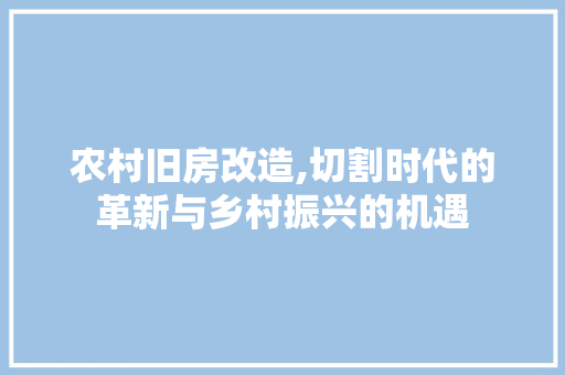 农村旧房改造,切割时代的革新与乡村振兴的机遇