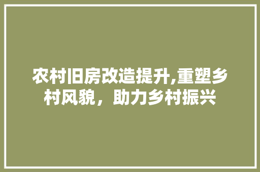 农村旧房改造提升,重塑乡村风貌，助力乡村振兴