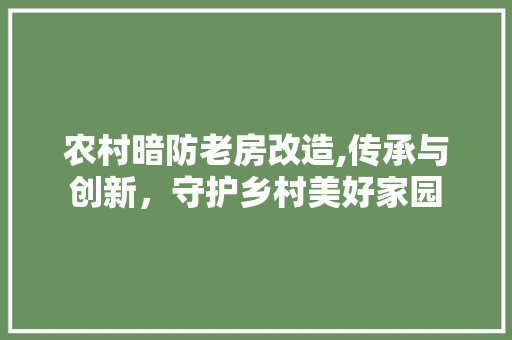 农村暗防老房改造,传承与创新，守护乡村美好家园