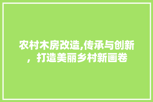 农村木房改造,传承与创新，打造美丽乡村新画卷