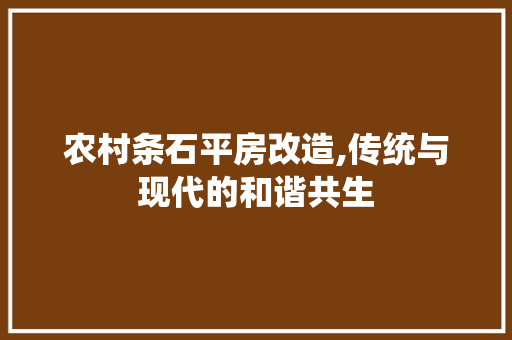 农村条石平房改造,传统与现代的和谐共生