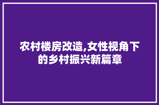 农村楼房改造,女性视角下的乡村振兴新篇章