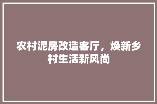农村泥房改造客厅，焕新乡村生活新风尚