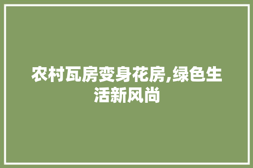 农村瓦房变身花房,绿色生活新风尚
