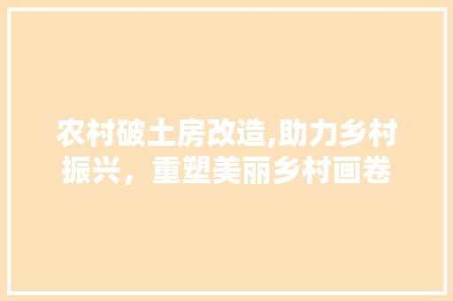 农村破土房改造,助力乡村振兴，重塑美丽乡村画卷