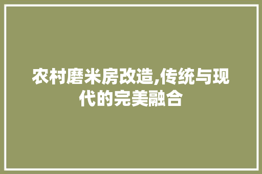 农村磨米房改造,传统与现代的完美融合