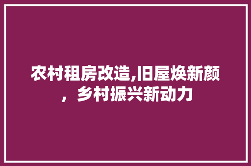 农村租房改造,旧屋焕新颜，乡村振兴新动力