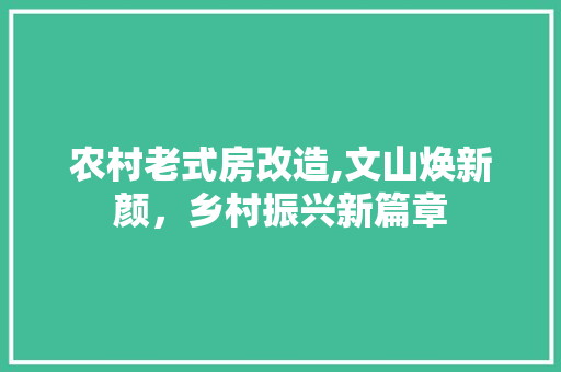 农村老式房改造,文山焕新颜，乡村振兴新篇章