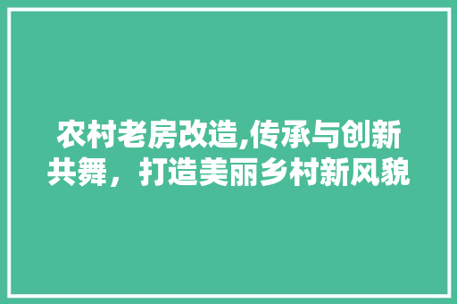 农村老房改造,传承与创新共舞，打造美丽乡村新风貌