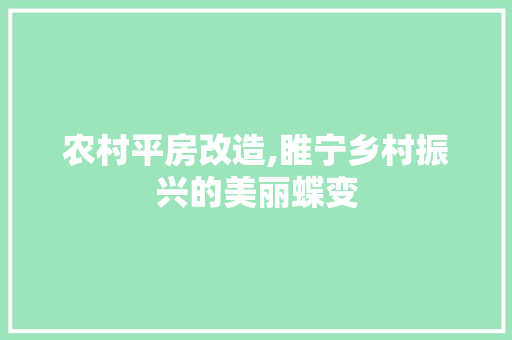 农村平房改造,睢宁乡村振兴的美丽蝶变