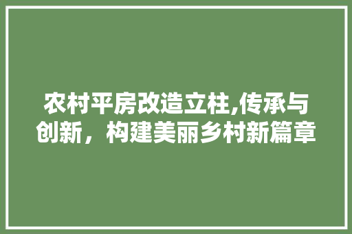 农村平房改造立柱,传承与创新，构建美丽乡村新篇章